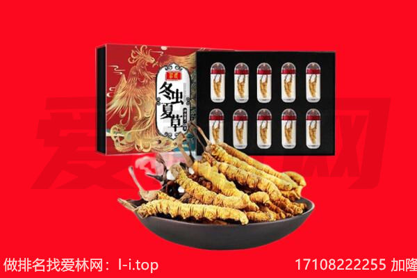 延安志丹县回收虫草.jpg